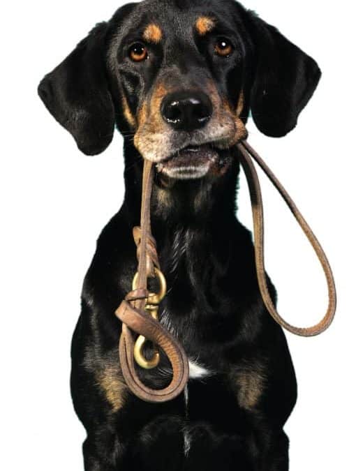 Welcome to Carmen’s blog